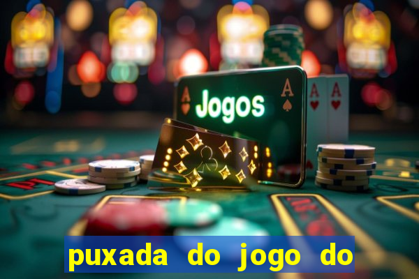 puxada do jogo do bicho da sueli